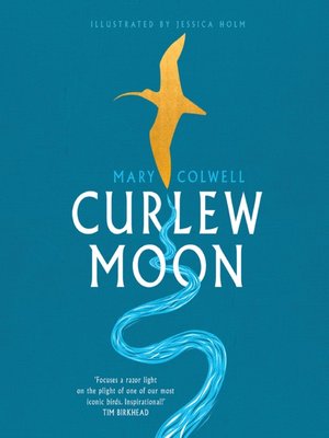 cover image of Curlew Moon